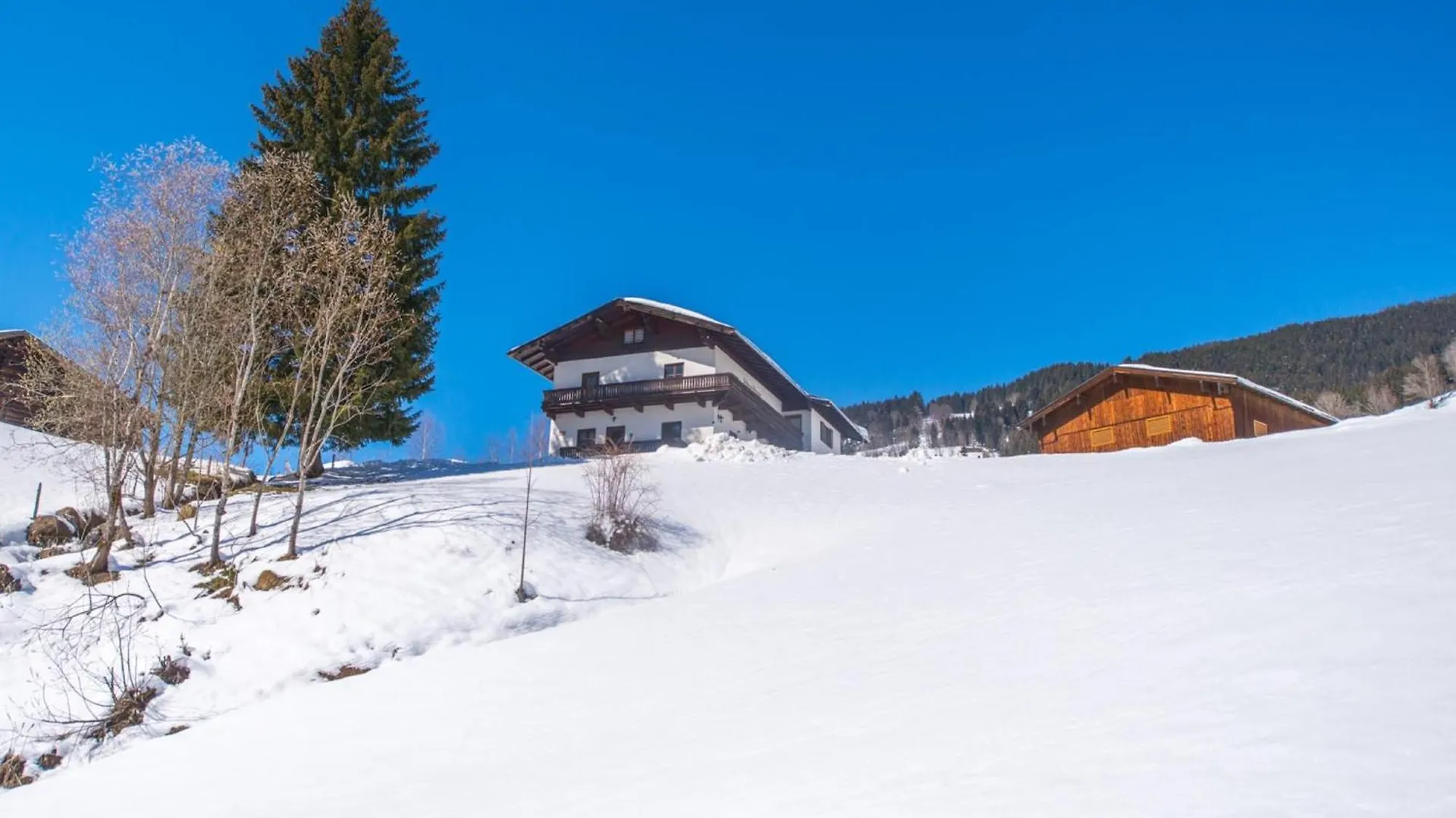 Schwoichbauer II Villa Saalbach-Hinterglemm Austria